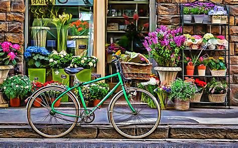 Flower Bike Collection Mixed Media By Marvin Blaine Pixels