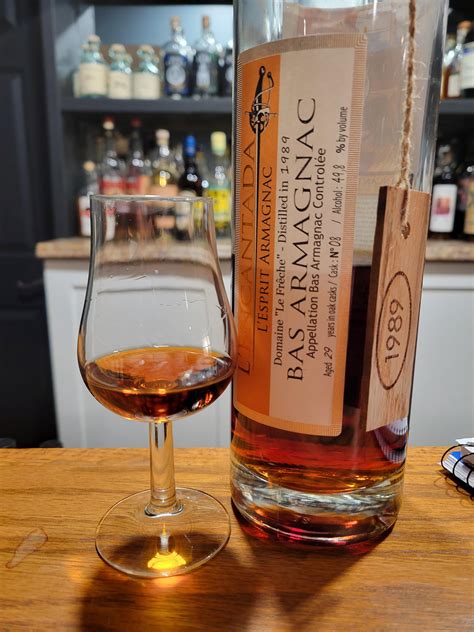 Review Brandy Lencantada Le Freche Yr Lincoln Road