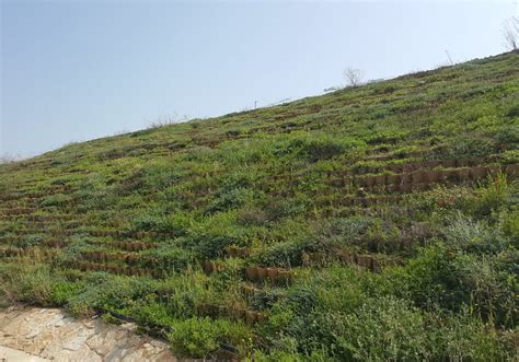 Green Slopes By Tough Cells Neoloy And Soil Reinforcement Admir