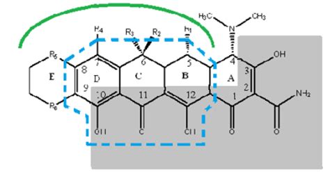 Tetracycline Classification Structure Activity Relationship And