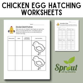 Chicken Egg Hatching Lab Worksheets By Sprout In Ag Education TPT