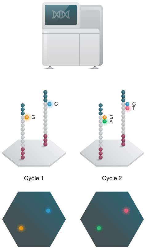 Next Generation Sequencing Technology Bio Rad