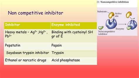 Enzyme inhibition | PPT