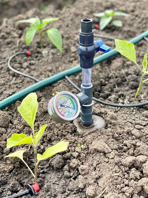 Офіційний сайт Свідомого зрошення