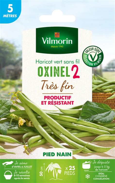 Haricot Nain Sans Fil Oxinel 2 VILMORIN 35 G Leroy Merlin