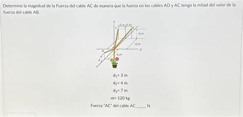 Solved Determine La Magnitud De La Fuerza Del Cable AC De Chegg