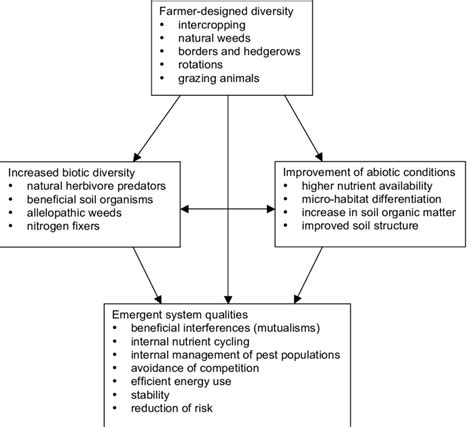 Multiple Benefits Derived From Diversity In Agricultural Ecosystems Download Scientific Diagram