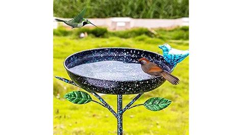 Best Bird Baths To Spruce Up Your Garden Oasis Soul Sanctuaries