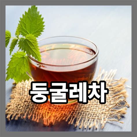 둥굴레차 효능 6가지와 부작용 및 카페인 함량은