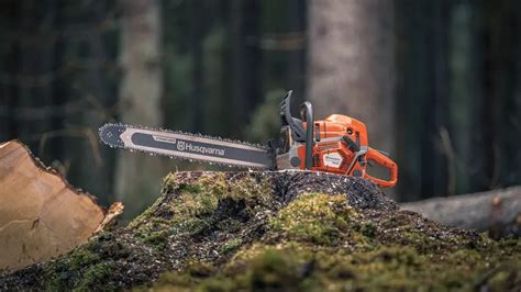 Every Major Chainsaw Brand Ranked Worst To Best