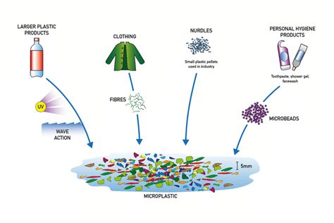 O Ciclo Das Part Culas De Micropl Sticos Na Natureza