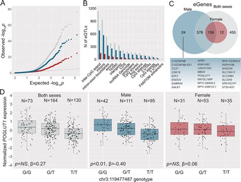 Sex Specific Genetic Effects On Tumor Gene Expression In Hcc A Qq Plot Download Scientific