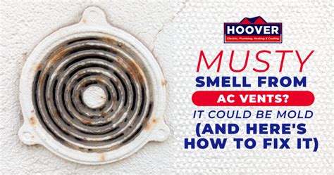 Musty Smell From Ac Vents It Could Be Mold And Here S How To Fix It