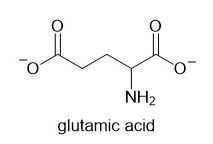 Draw The Structure Of The Predominant Form Of Glutamic Acid Quizlet