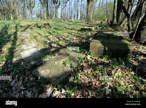 Abandoned Cemetery Castolovice Ceska Lipa Czech Republic The