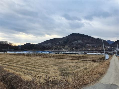 옥천군 안내면 토지답 충청북도 옥천군 안내면 서대리 570 경매투자문의 충청북도 토지답 경매