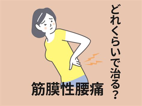 筋筋膜性腰痛はどのくらいで治る？筋膜性腰痛を徹底解説！ とまり木