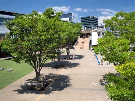 流山おおたかの森 森のまち広場 千葉県 写真素材 [ 7344775 ] フォトライブラリー Photolibrary