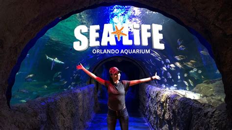 Sea Life Aquarium Orlando Florida Icon Park Attraction Youtube