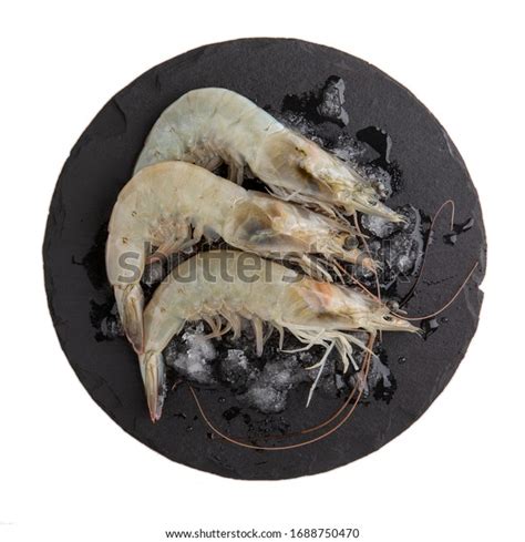 Fresh Vannamei Shrimps Whiteleg Shrimp Pacific Stock Photo Edit Now