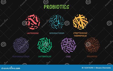 Set Of Probiotic Bacteria Stock Vector Illustration Of Emblem 163476390