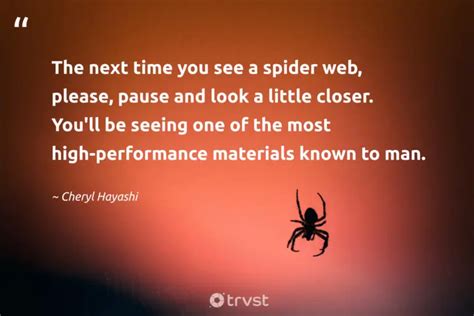 40 Spider Quotes Appreciating These 8-Legged Creatures (2024)