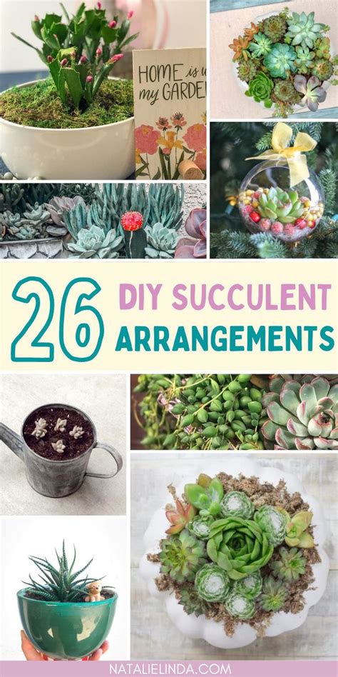 DIY Succulent Arrangements: Inspiration and Ideas