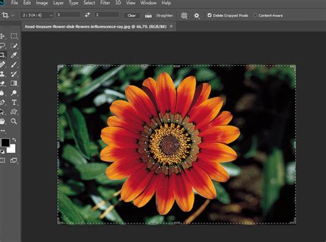 Cara Crop Foto Di Photoshop Dengan Berbagai Bentuk Tedas