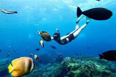 Snorkeling In Nusa Penida And Uluwatu Sunset Tours