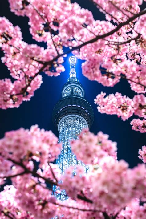 Visit Japan Tokyo Skytree Is Not Only The Tallest Tower In Japan It S The Tallest Tower In