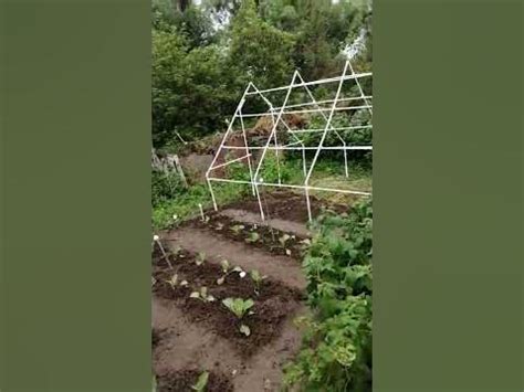 Построили домик для огурцов из полипропиленовой трубы🥒🏠 - YouTube