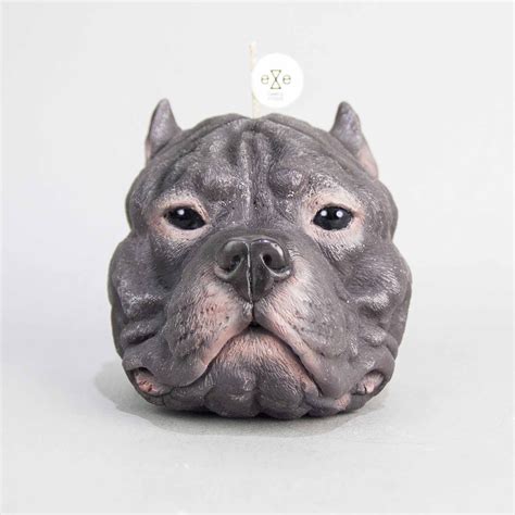 Staffordshire Bull Terrier Dark Grey Eyecandle Design Permanent Store Touch Of Modern