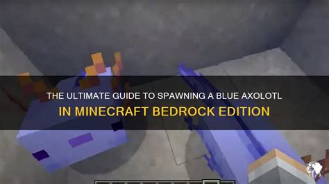 The Ultimate Guide To Spawning A Blue Axolotl In Minecraft Bedrock