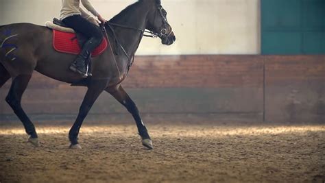 Slow Motion Horse Galloping Towards The Camera Stock Footage Video 5821076 - Shutterstock