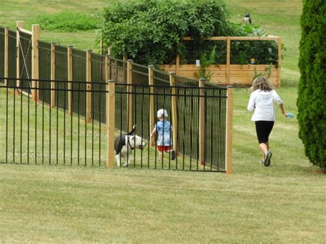 DIY Dog Fence Ideas and Installation Tips | Home Service Hookup