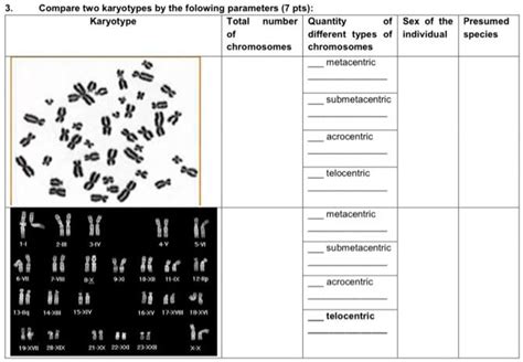 Solved Compare Two Karyotypes By The Folowing Parameters 7 Pts Karyotype Total Number