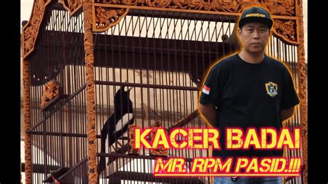 KACER BADAI MILIK MR RPM PASID MASIH TAMPIL MEMUKAU DIMATA PENONTON