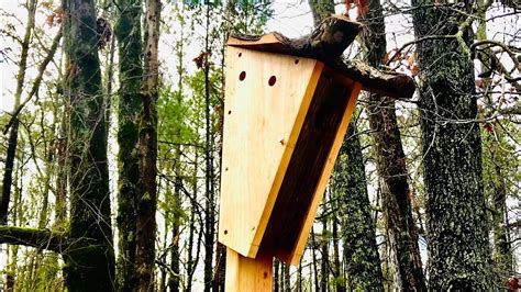 Peterson Style Bluebird Nesting Box Youtube