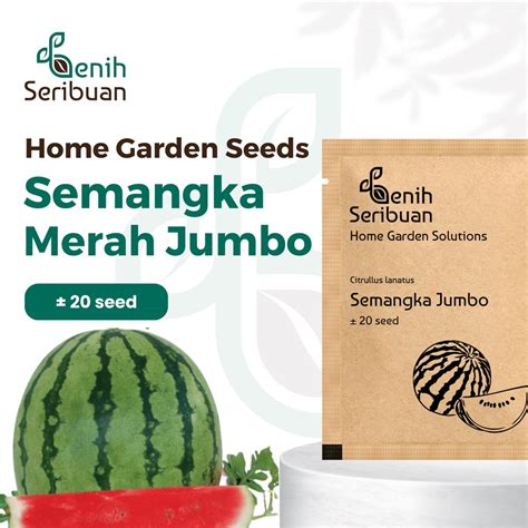 Jual 20 Biji Benih Bibit Buah Semangka Merah Jumbo F1 Hibrida Unggul