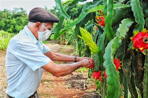 Mil Bilhetes Vendidos Rifa Que Viralizou Destaca Agricultura