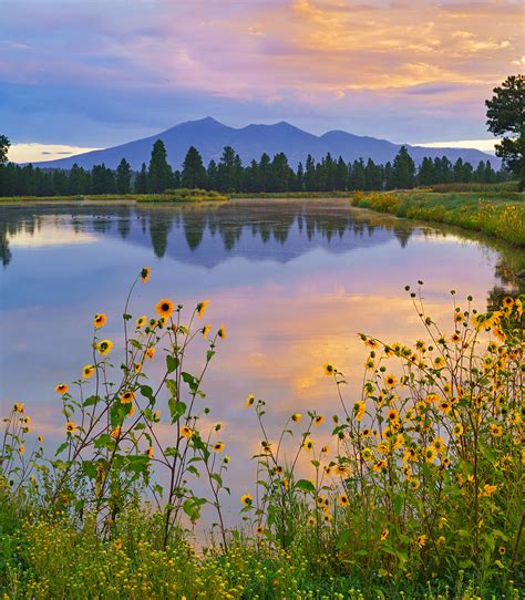 Kachina Sunrise Flagstaff Arizona Stan Rose Images