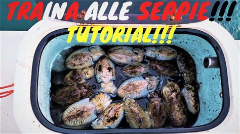 TUTORIAL TRAINA ALLE SEPPIE COME PESCARE LE SEPPIE DALLA BARCA COME