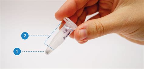 Biotechnology 101 Protocol DNA Extraction From Saliva Bento Lab