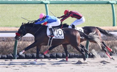 【pog】カムランベイ〝タイマン〟制す 岩戸師「動きは良かったし、奥がありそう」競馬・レースデイリースポーツ Online