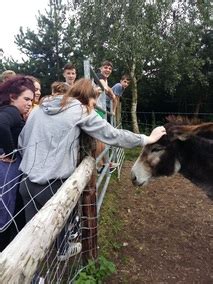 Causey Farm Bonding Day: Bog Jumping, baking bread and much more.... - Cross & Passion College ...