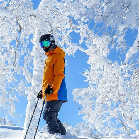 15 Day Forecasts - Snowatch