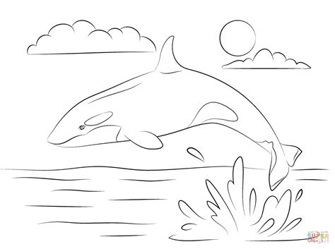 Orca Whale Coloring Page Coloring Home