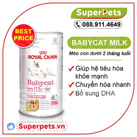 Babycat Milk G S A B T Cho M O Con Royal Canin Si U Dinh