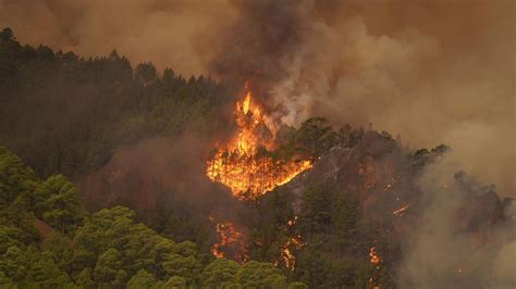 Teneriffa Waldbrand W Tet Auf Der Insel Video Zeigt Feuer Svz