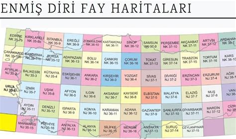 MTA yenilenmiş diri fay haritalarını yayınladı Gündem Adana Haber